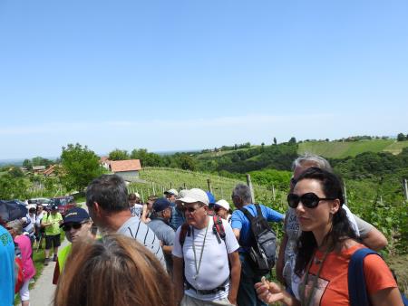 12. pohod Pomlad v prleških goricah Dan odprtih kleti in veselih ljudi, 28.5.2016 38